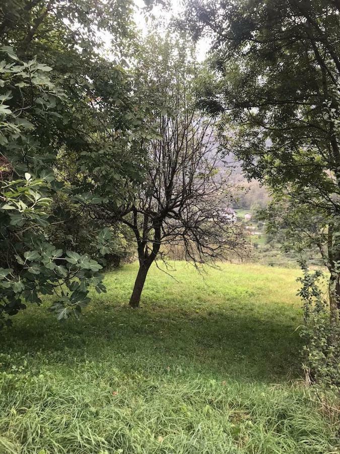 Il Bilocale Della Nonna Villa Locana Kültér fotó